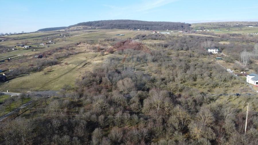 Teren agricol extravilan de 20146 mp, în Dâmbul Rotund