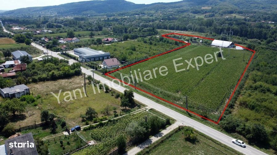Teren de vanzare, Comuna Cepari, Judet Arges ( 40.672 mp ) - 3