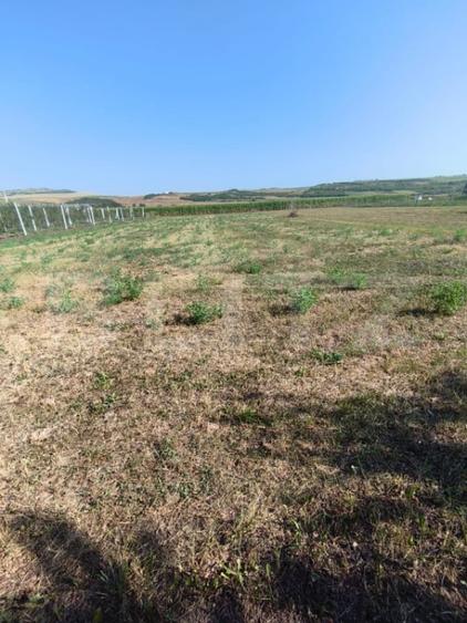 Casă cu 1 camere cu Teren 2070 Mp în Unirea