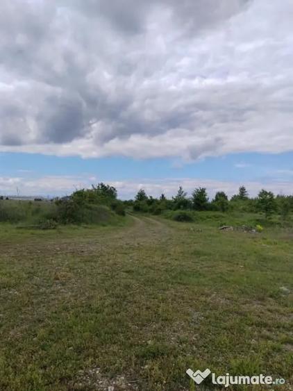 Teren în Ariceștii Rahtivani