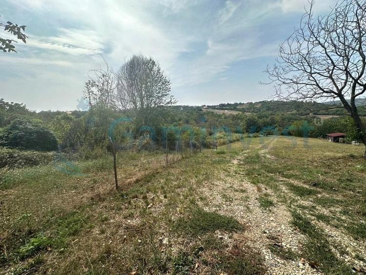 Teren Construcții intravilan de 1579 mp, în Săldăbagiu de Munte