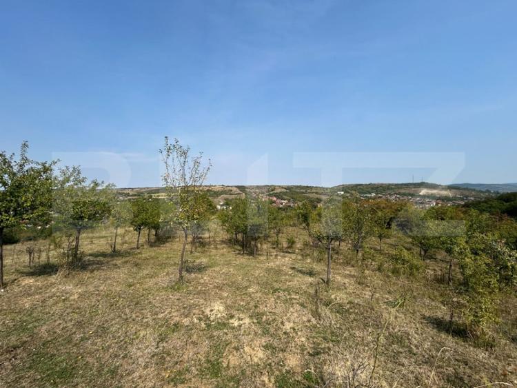 Teren de 5800 mp, în Central