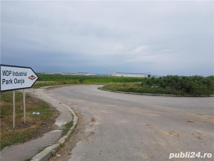 Teren de 15000 mp, în Oarja