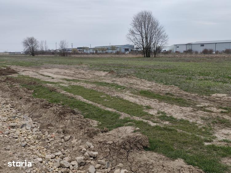 Teren de 1500 mp, în Joița