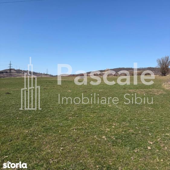 Teren de 2000 mp, în Roșia