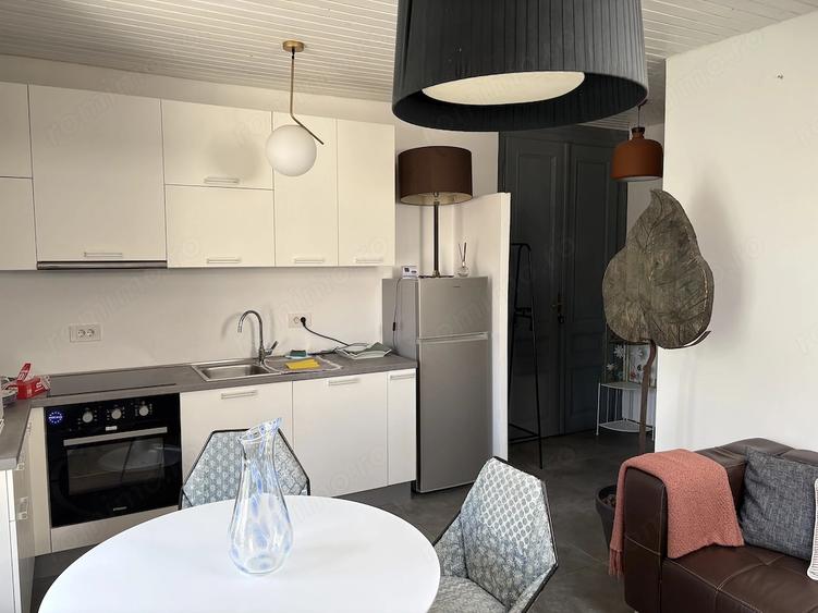 De inchiriat apartament la mansarda pentru locuit, Balcescu, cladire istorica reabilitata, lux - 10