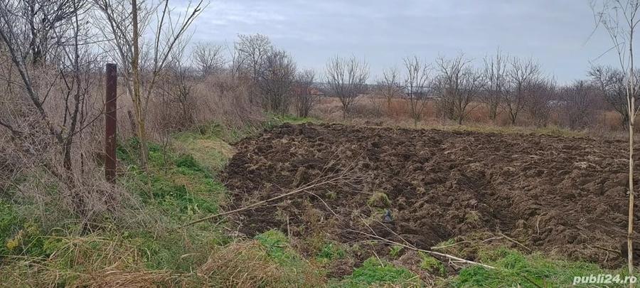 Teren de 2250 mp, în General Scărișoreanu