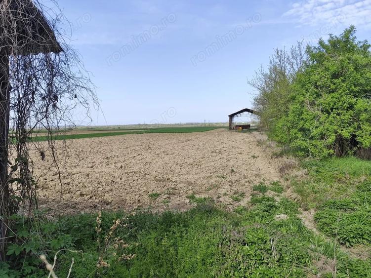 Casă cu 4 camere cu Teren 4122 Mp în Petid