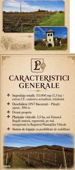 Spațiu comercial, în Călinești