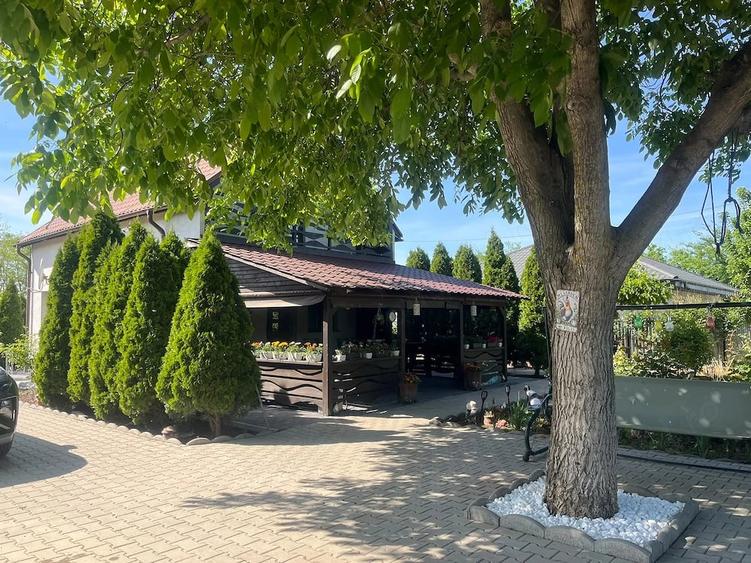 Casă cu Teren 1457 Mp în Traian