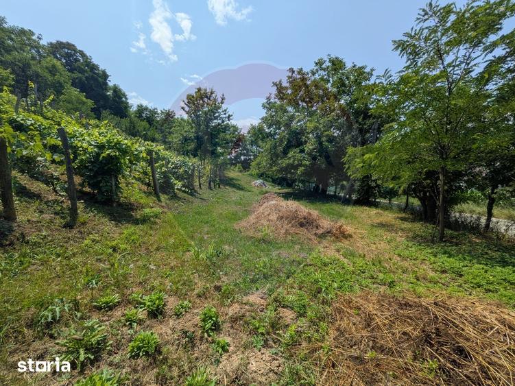 Teren de 2800 mp, în Măgura