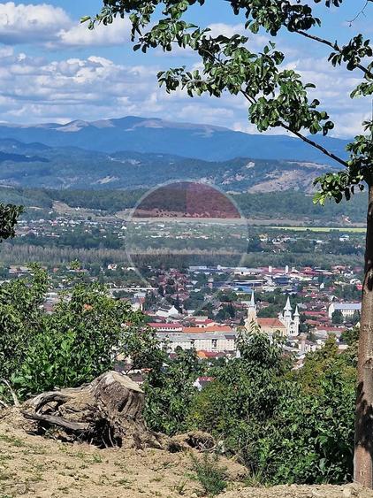 Casă cu 3 camere cu Teren 6000 Mp în Central