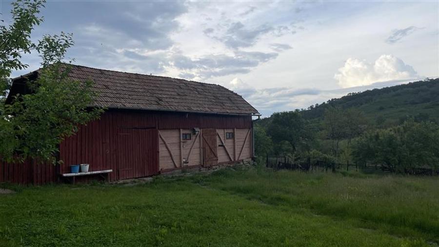 Casă individuală cu 3 camere cu Teren 2500 Mp în Ulieș
