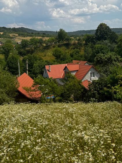 Casă cu 4 camere în Central