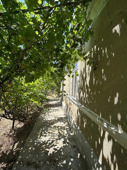 Casă cu Teren 14000 Mp în Bărăganul