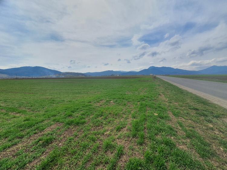 Teren Construcții intravilan de 11100 mp, în Tărlungeni