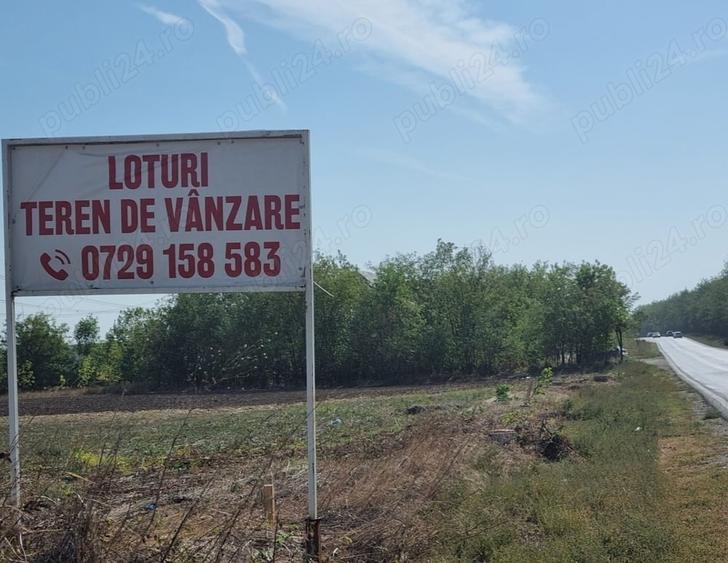 Frumusani Postavari Loturi Teren Rezidentiale - 6