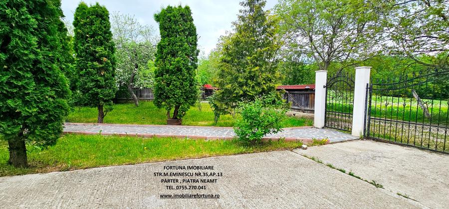 Casa P+M, foisor, anexa si 2500 mp teren, langa padure - 2