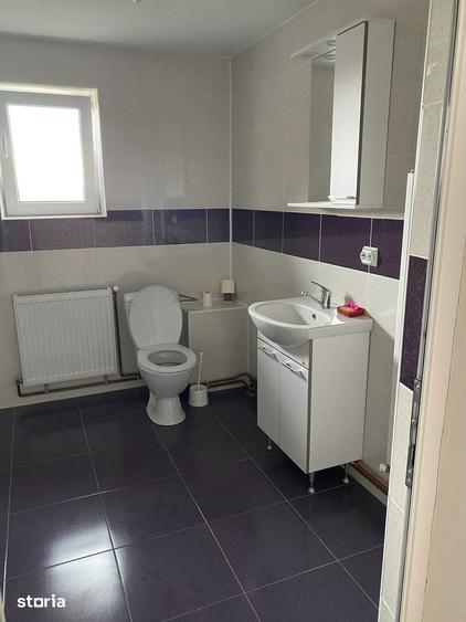 Casă cu 3 camere cu Teren 3000 Mp în Trifești