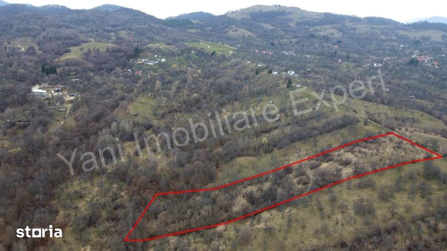 Teren de 14328 mp, în Nucșoara