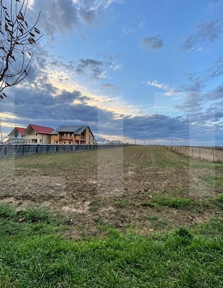 Teren Construcții extravilan de 4500 mp, în Vlădeni