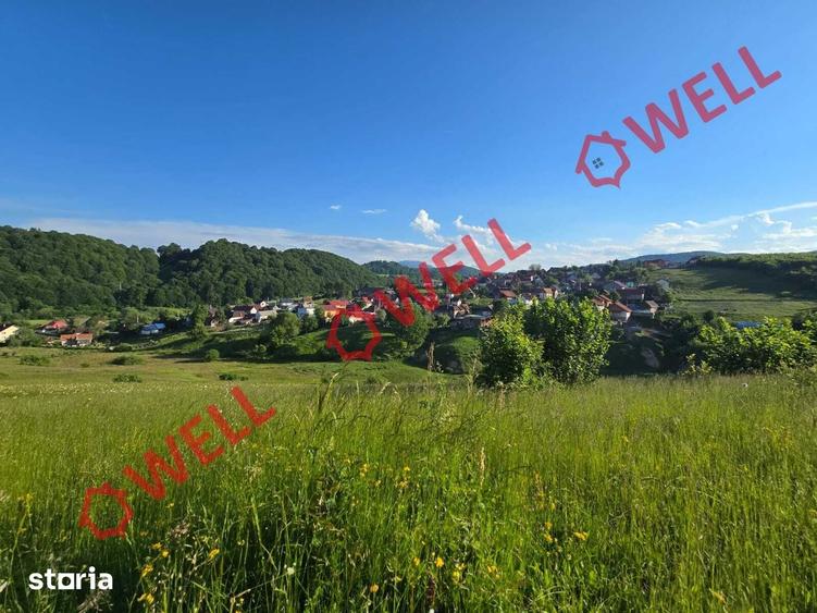 Teren de 8163 mp, în Vama Buzăului