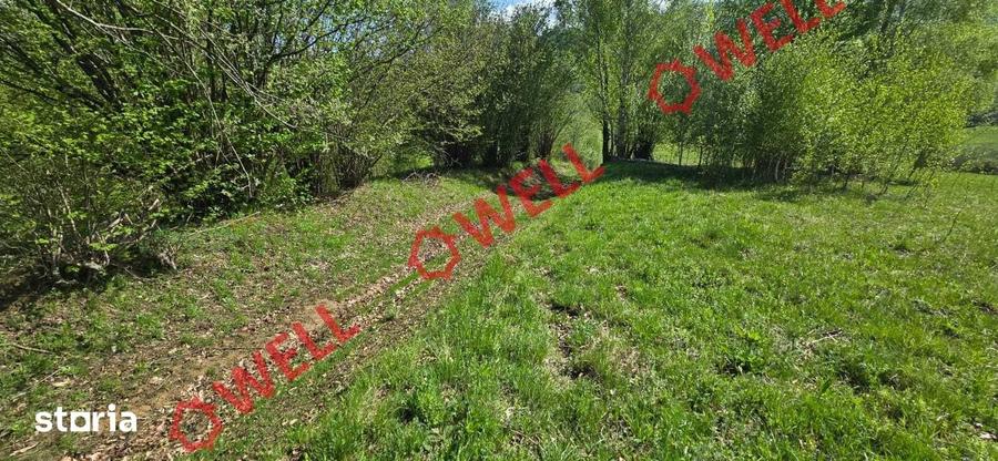Teren de 1740 mp, în Vama Buzăului