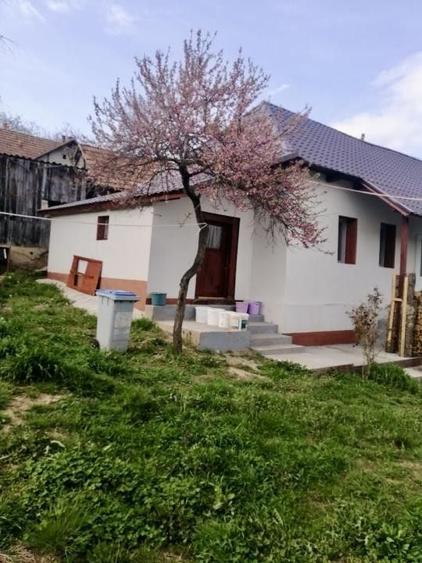 Casă individuală cu 4 camere cu Canalizare în Sânmihaiu Almașului