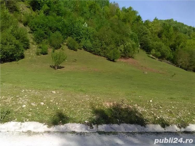 Teren de 5500 mp, în Pietroasa