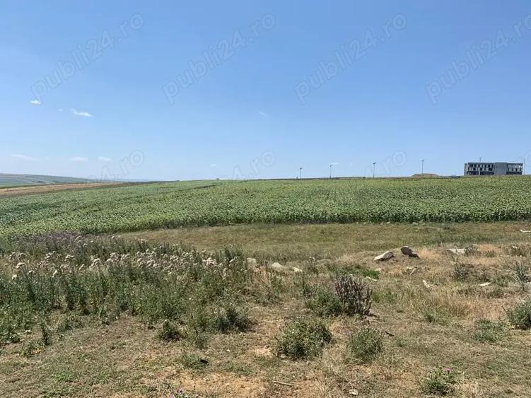 Teren de 5331 mp, în Sfântu Ilie