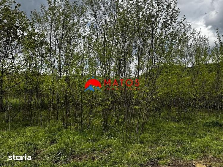 Teren de 5164 mp, în Brebu