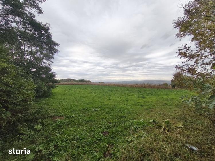 Casa individuala, 60mp, teren 3000mp, zona Padureni, Siret - 8