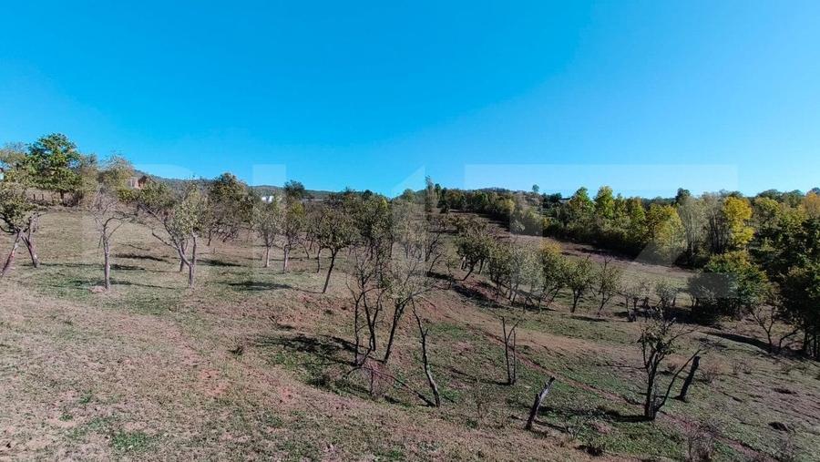 Teren agricol extravilan de 7382 mp, în Valea Lungă-Cricov
