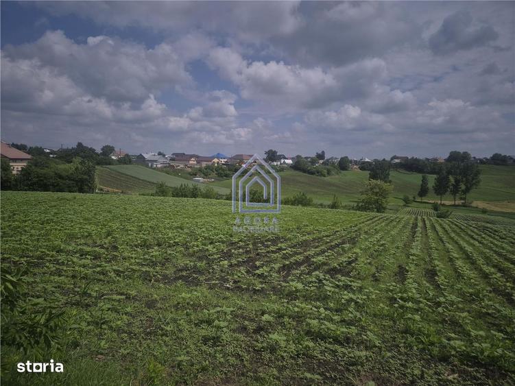 Spațiu comercial, în Moara