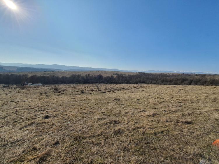 Teren Construcții intravilan de 500 mp, în Vlădeni