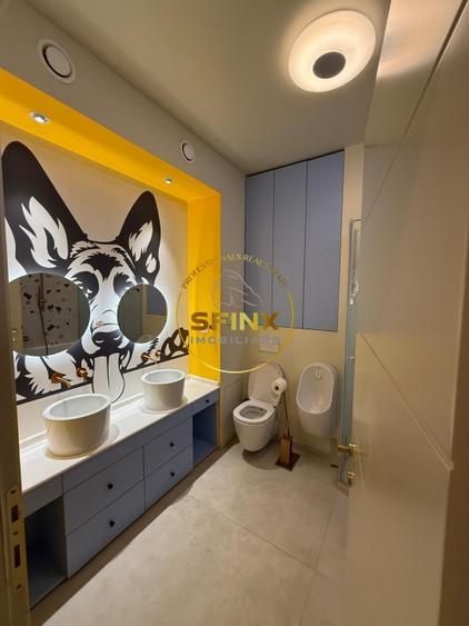 Nordului Herastrau Park, 4 room 222 sqm apartment, large terraces, pet friendly - 17