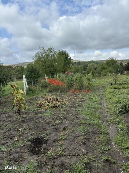 Casă cu 3 camere în Dipșa