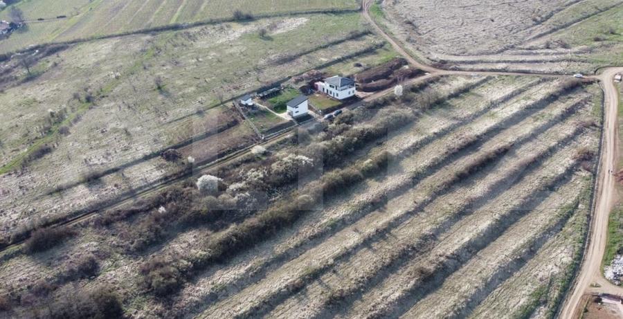 Teren Construcții intravilan de 6400 mp, în Cetate