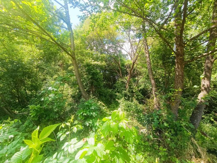 Teren extravilan de 3291 mp, în Vulcan