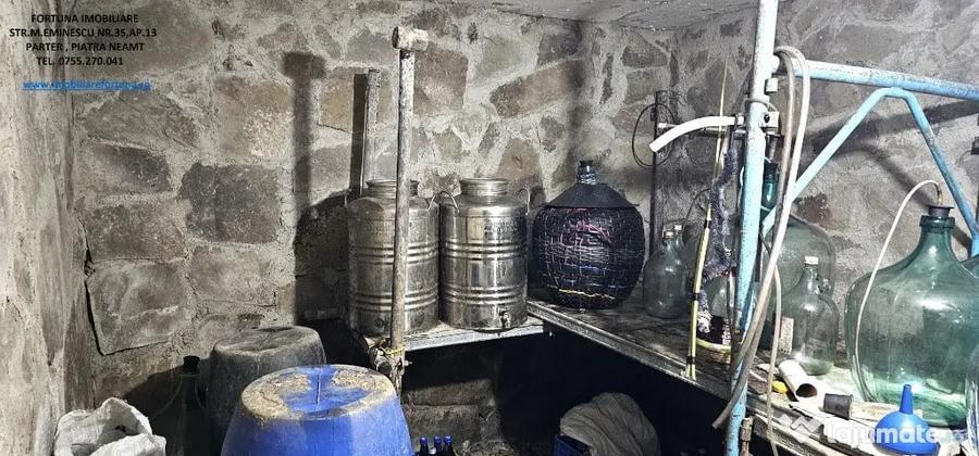 Casa cu livada,piscina si teren 1600 mp,Piatra Neamt-zona Ciritei - 13