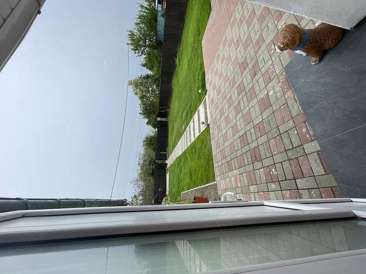 Casă cu Teren 370 Mp în Bucium