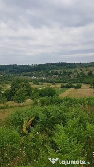 Teren în Lăschia
