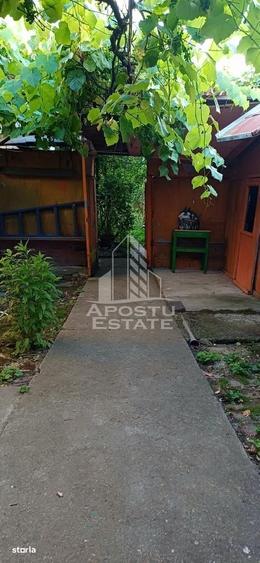 Casa din caramida de vanzare Freidorf Timisoara - 19