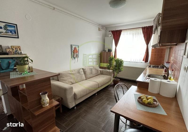 Apartament în Turnișor — fotografia 3