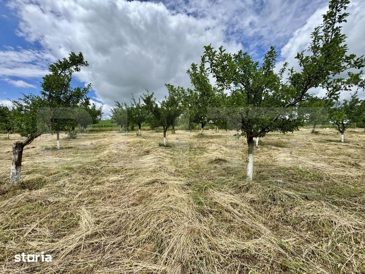 Casă cu 2 camere cu Teren 5000 Mp în Band
