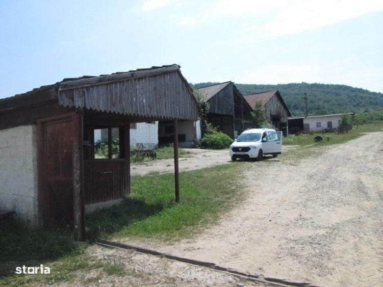 Spațiu comercial, în Șopotu Vechi