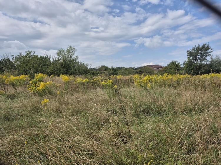 Teren Construcții intravilan de 650 mp, în Sânpetru