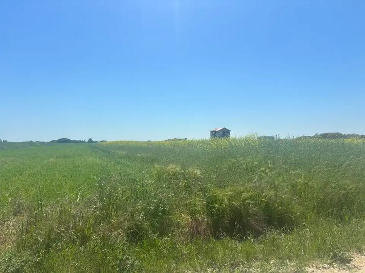 Teren agricol intravilan de 500 mp, în Berceni
