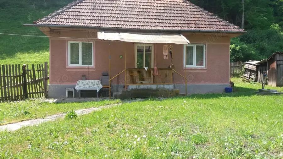 Casă cu 3 camere cu Teren 3200 Mp în Mihăileni