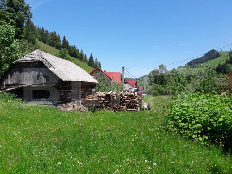 Teren Construcții intravilan de 4890 mp, în Moieciu de Sus